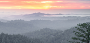 Expert Carly Santa Cruz Mountains_experticity_expertvoice_1260 Santa Cruz Mountains_experticity_expertvoice_1260