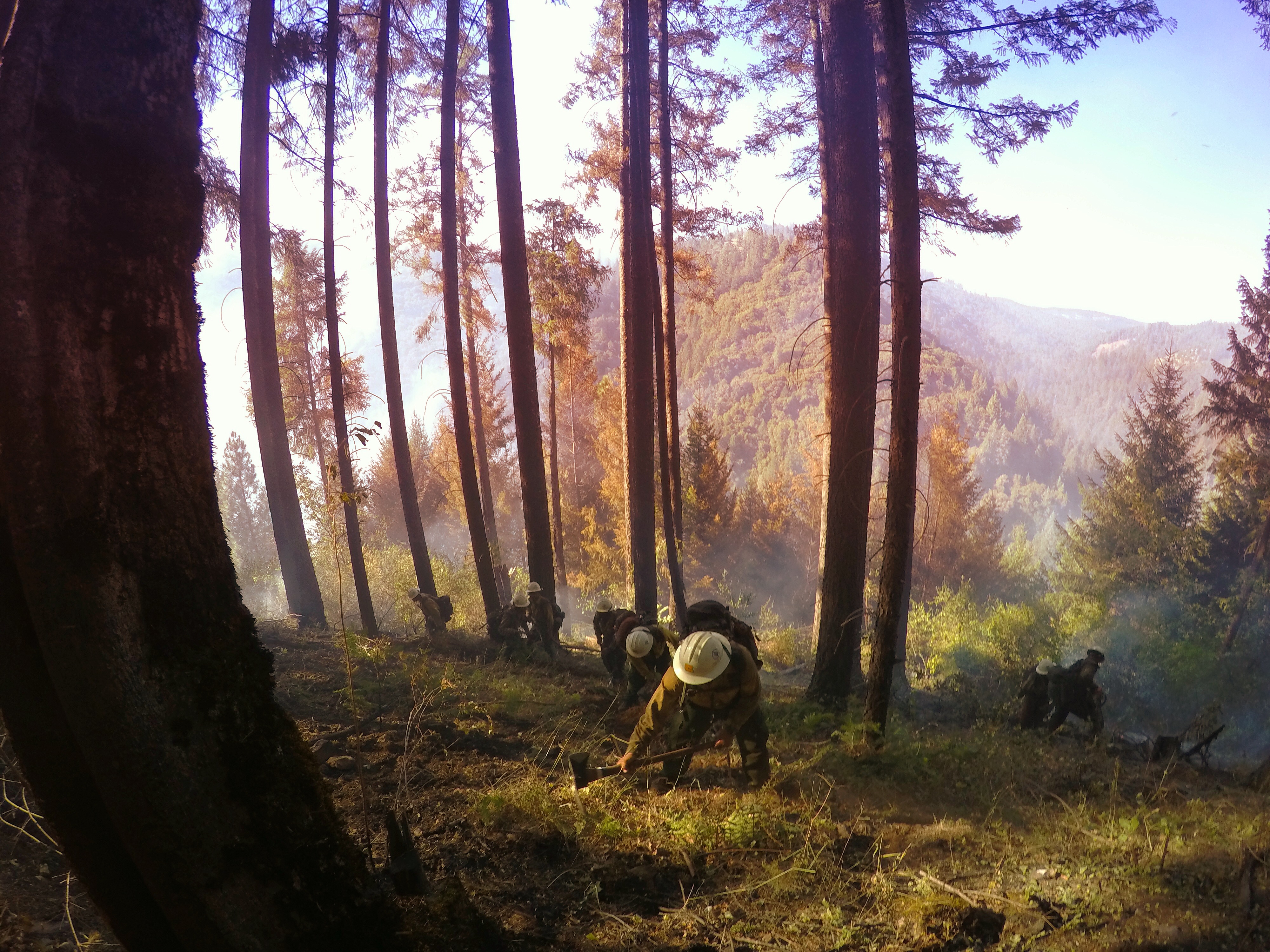 Wildland firefighters working in forest. Photos taken by ExpertVoice Expert Gregg Boydston.