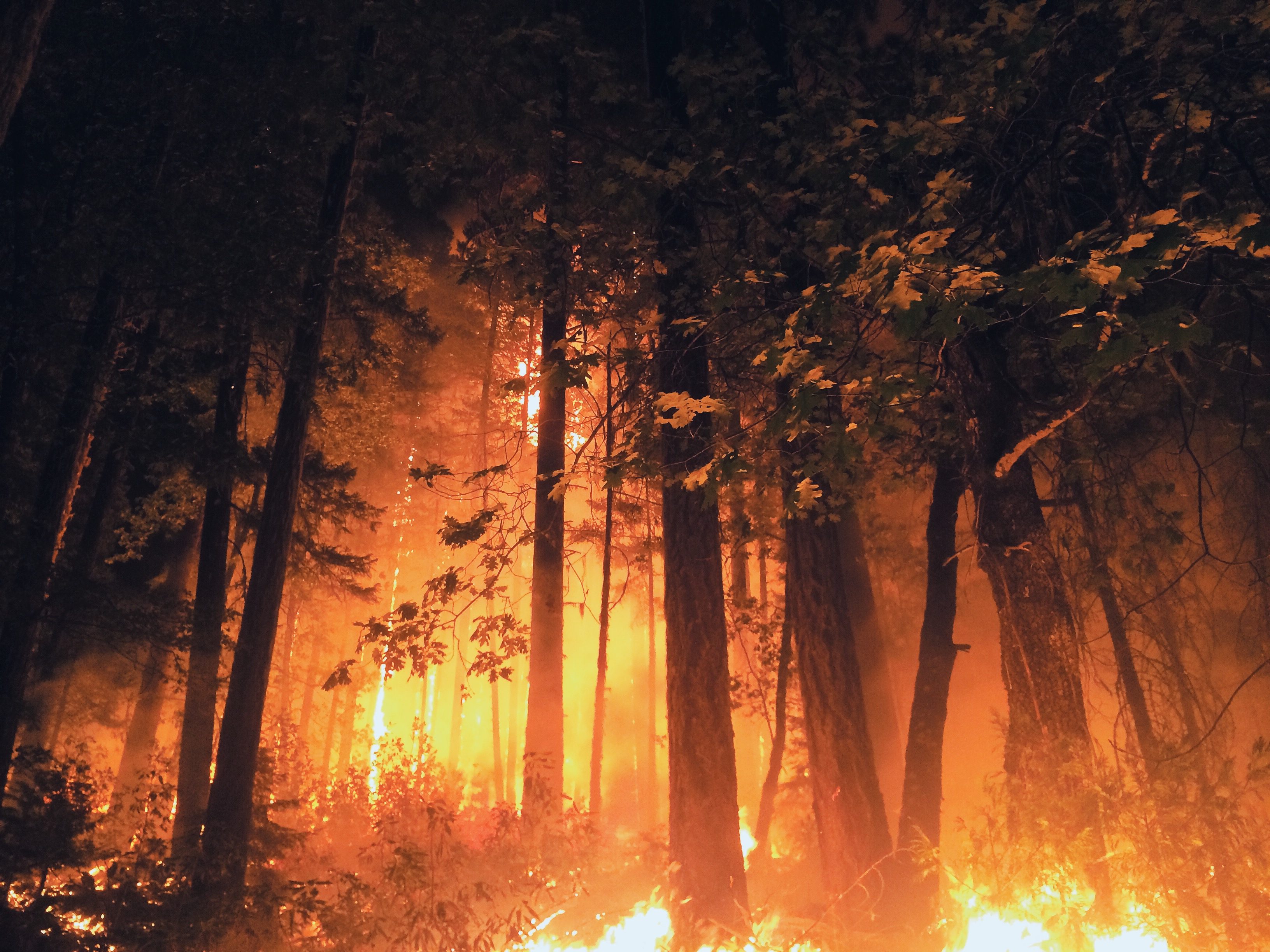 Wildland fire shot taken by ExpertVoice Expert Gregg Boydston