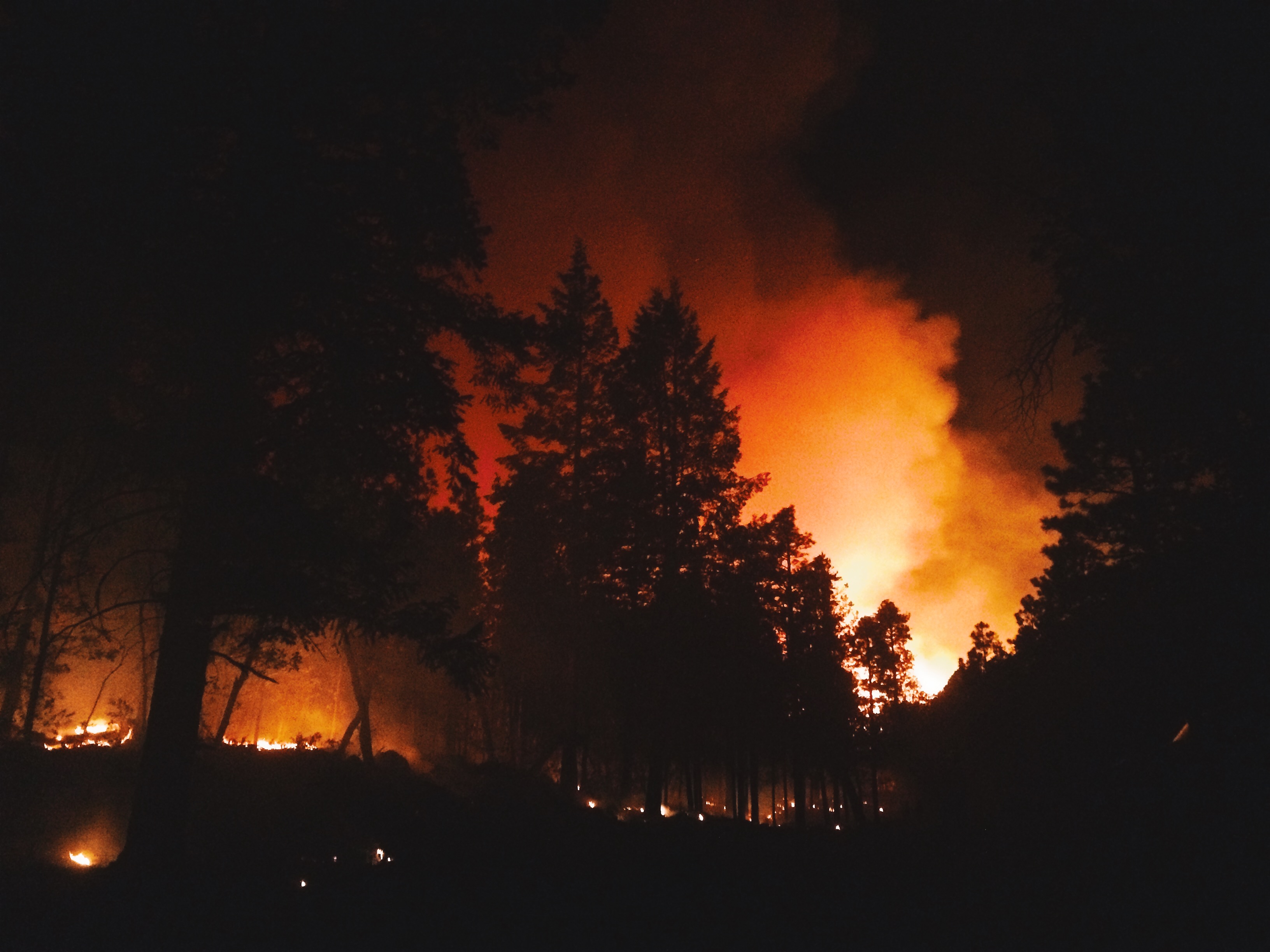 Night shot of wildland fire taken by ExpertVoice Expert Gregg Boydston