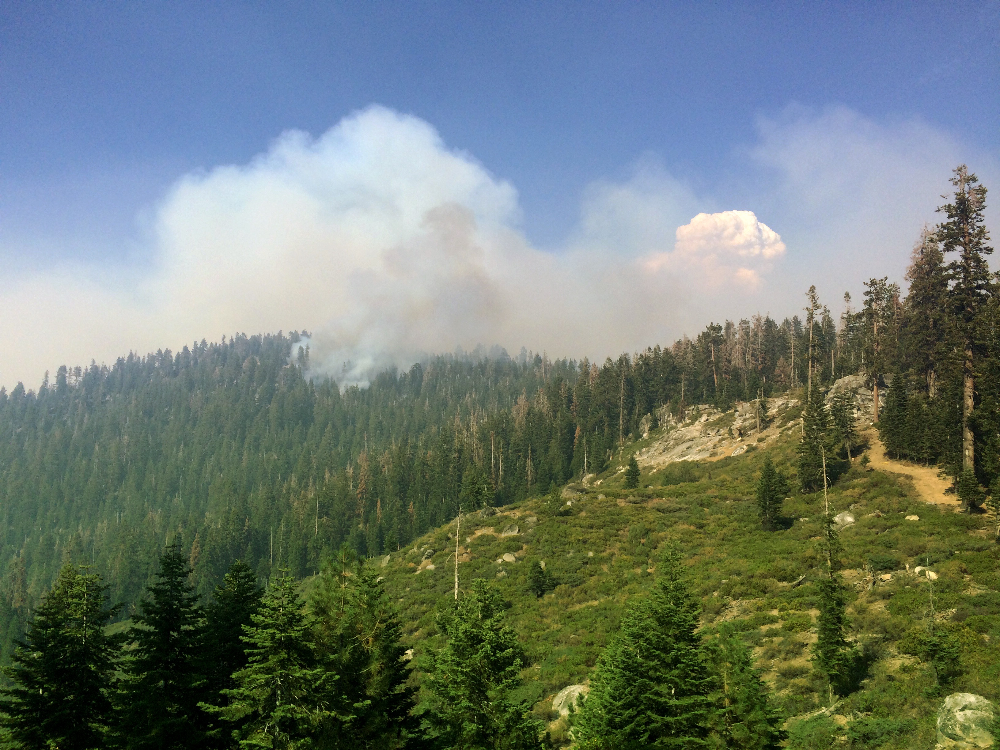 Smoke from wildland fire taken by ExpertVoice Expert Gregg Boydston