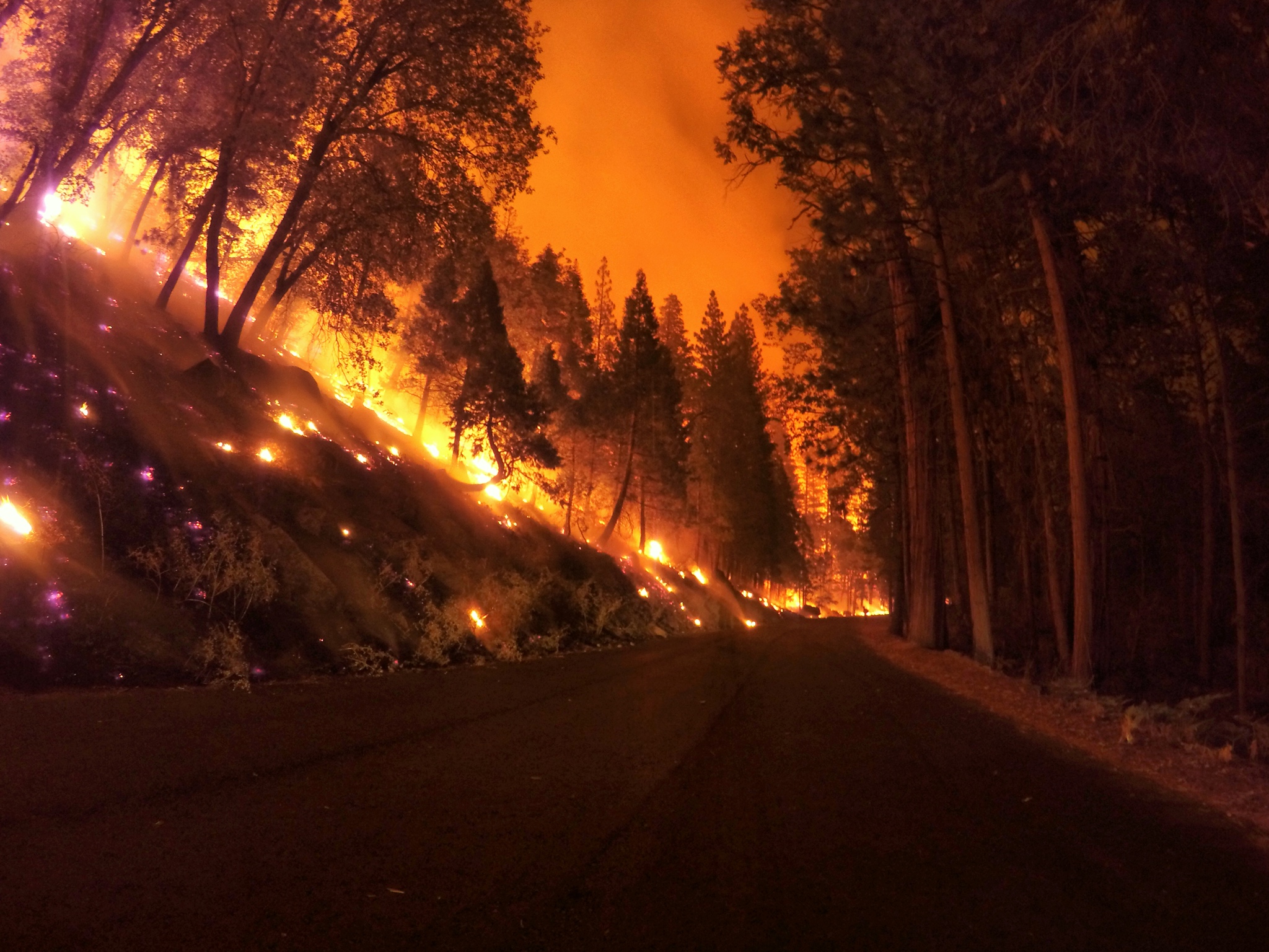 Photo of wildland fire taken by ExpertVoice Expert Gregg Boydston