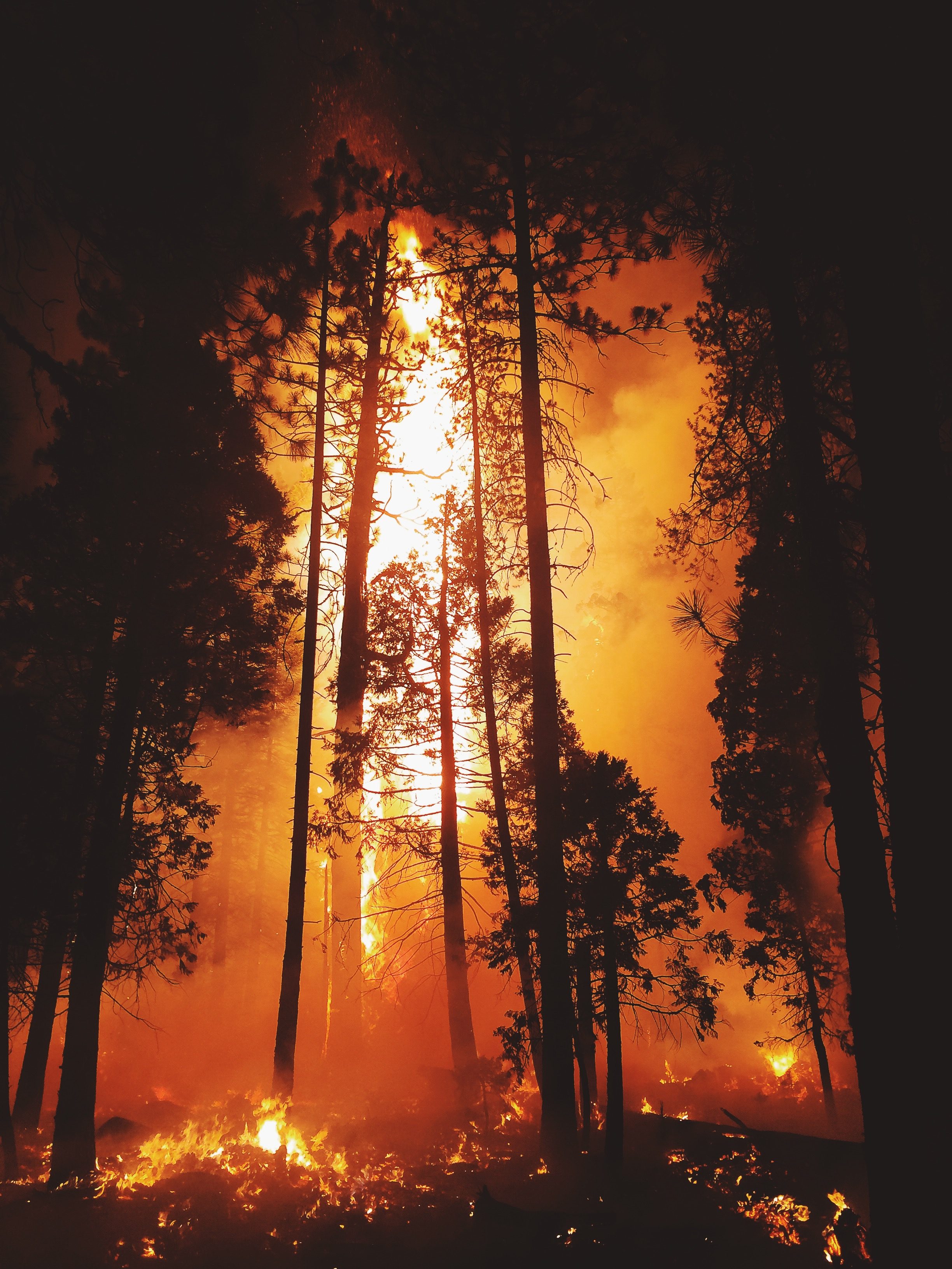 Image from ExpertVoice Expert Gregg Boydston of a wildland fire