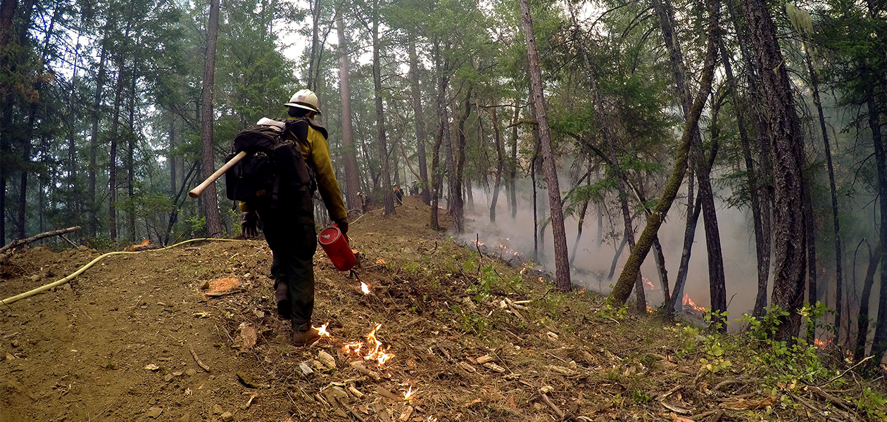 Wildland Firefighter Gregg Boydston