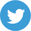 Twitter logo icon