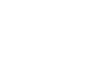 vortex