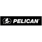 Pelican